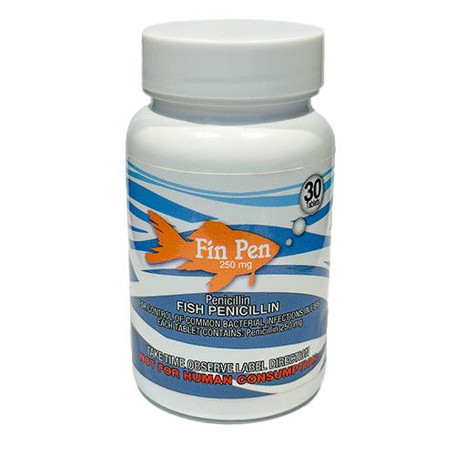 Fin Pen Penicillin 250mg Capsule - 30 ct
