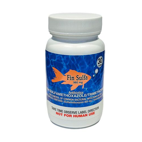 Fin Sulfa, Sulfamethox/Trimethoprim 960 mg - 30 ct