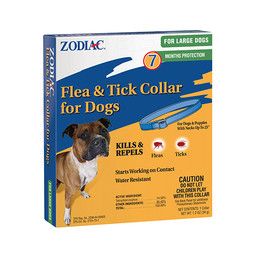 ZODIAC COLLAR F&amp;T LARGE DOG