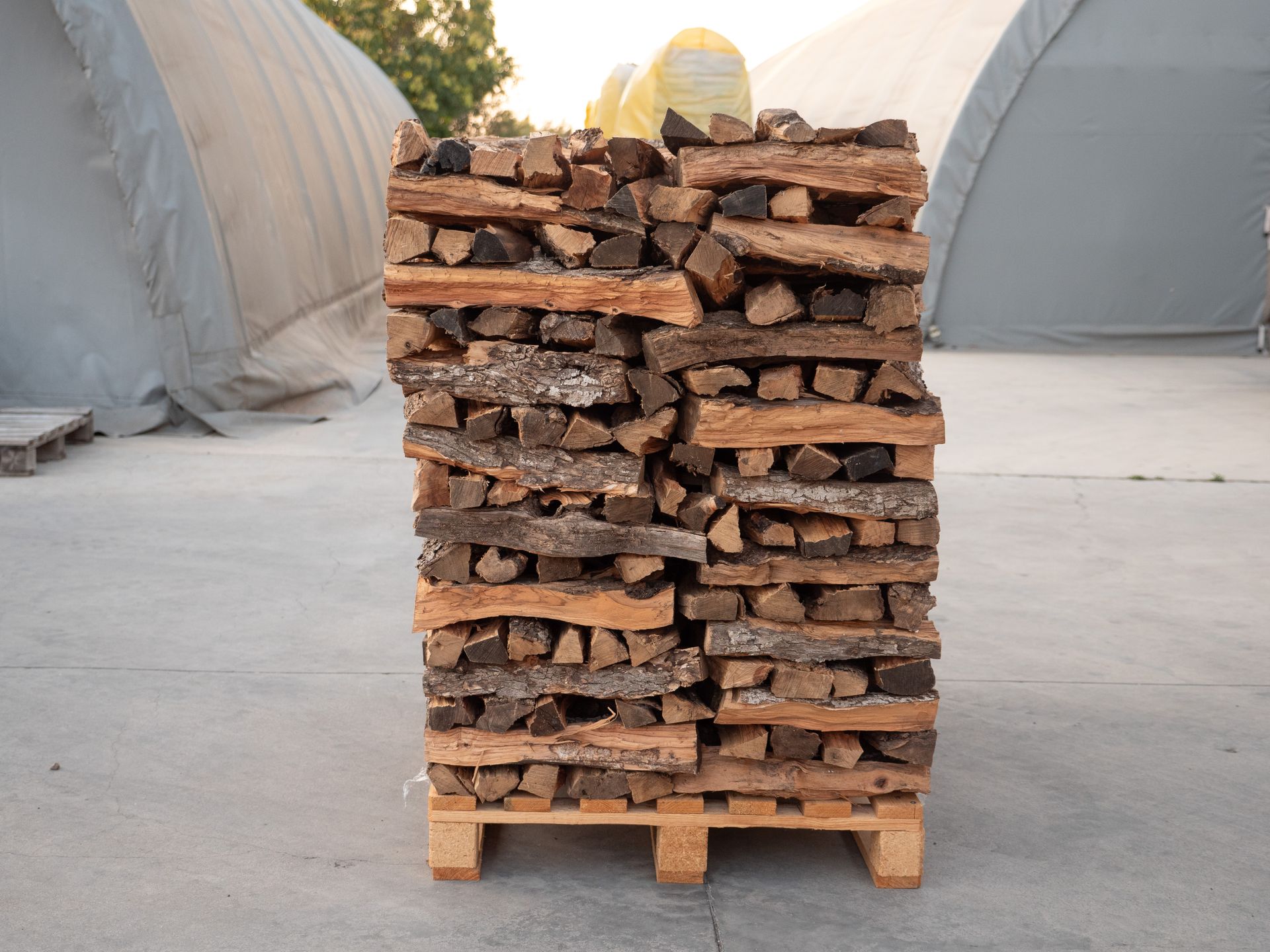 LEGNA - PEDANA DI LEGNA DI ULIVO SPACCO PICCOLO