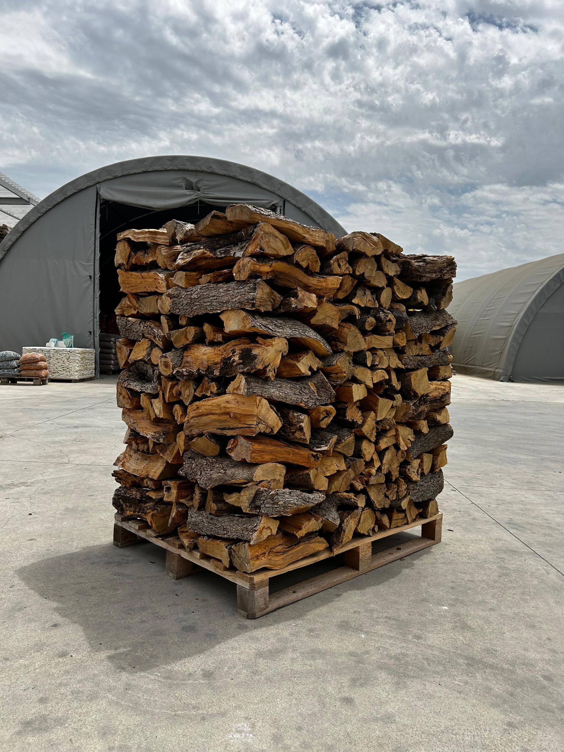 LEGNA - PEDANA DI LEGNA DI ULIVO SPACCO MEDIO