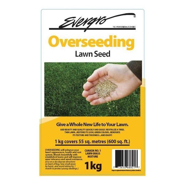 Evergro Overseeding Lawn Grass Seed 1kg