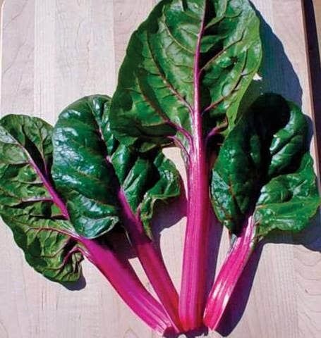 West Coast Seeds Swiss Chard Magenta Sunset