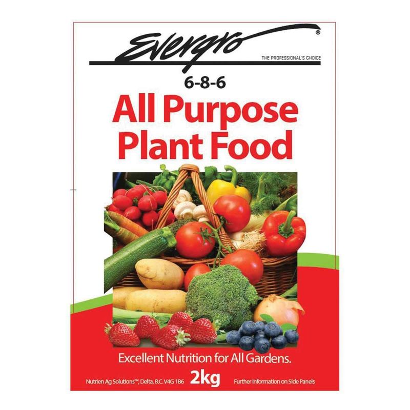 Evergro All Purpose Plant Food 6-8-6  2kg