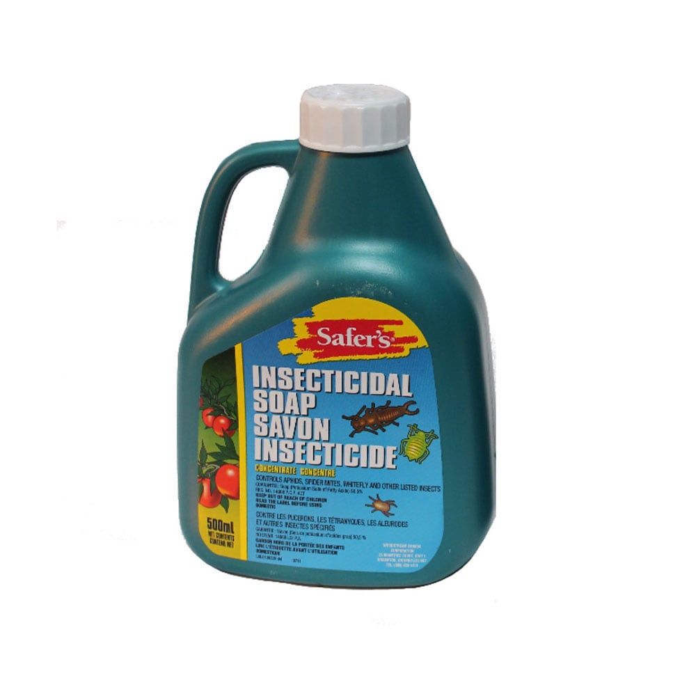 Safers Insecticidal Soap Concentrate 500ml