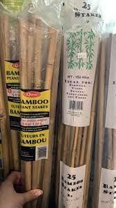 Natural Bamboo Cane 5&#39; X 10-12mm 25 pack