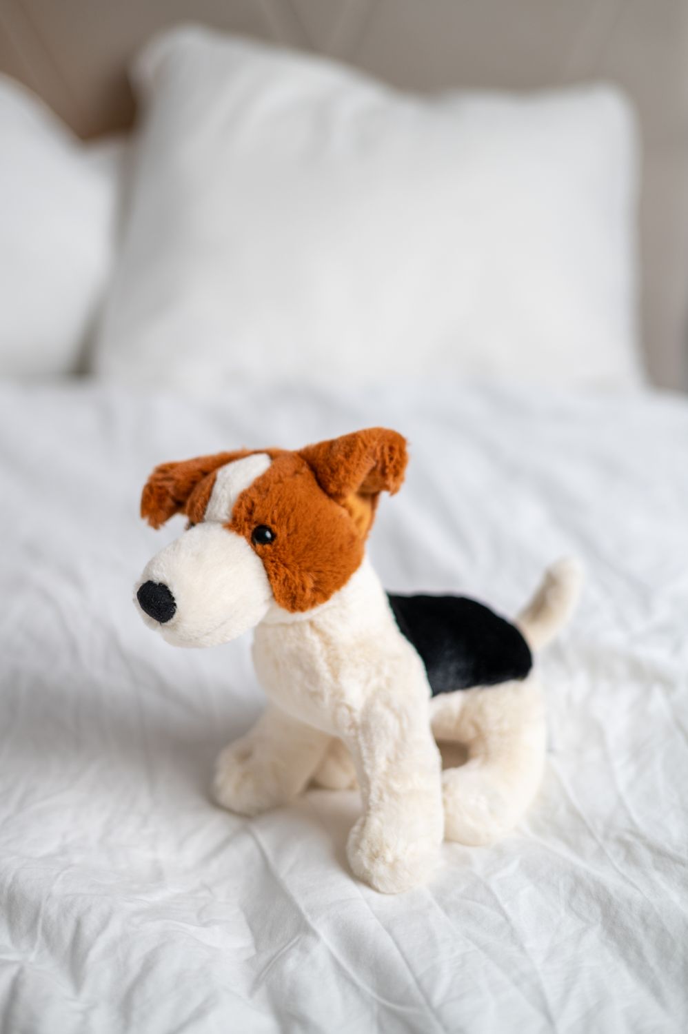 Jack Russell Terrier Albert 18 cm