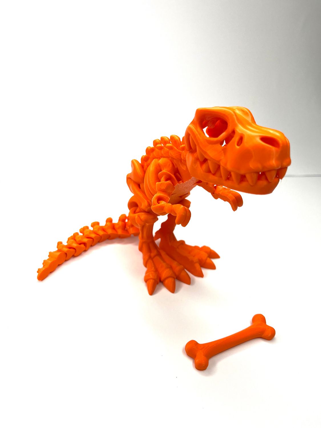 Szkielet T-Rexa z Kostką