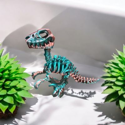 Szkielet Dinozaura Raptora