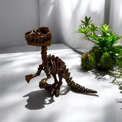 Szkielet Dinozaura Raptora
