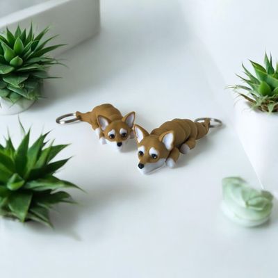 Welsh Corgi