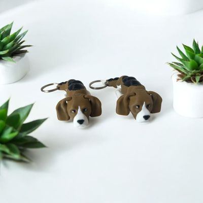 Beagle
