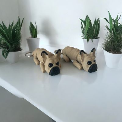 Buldog Francuski