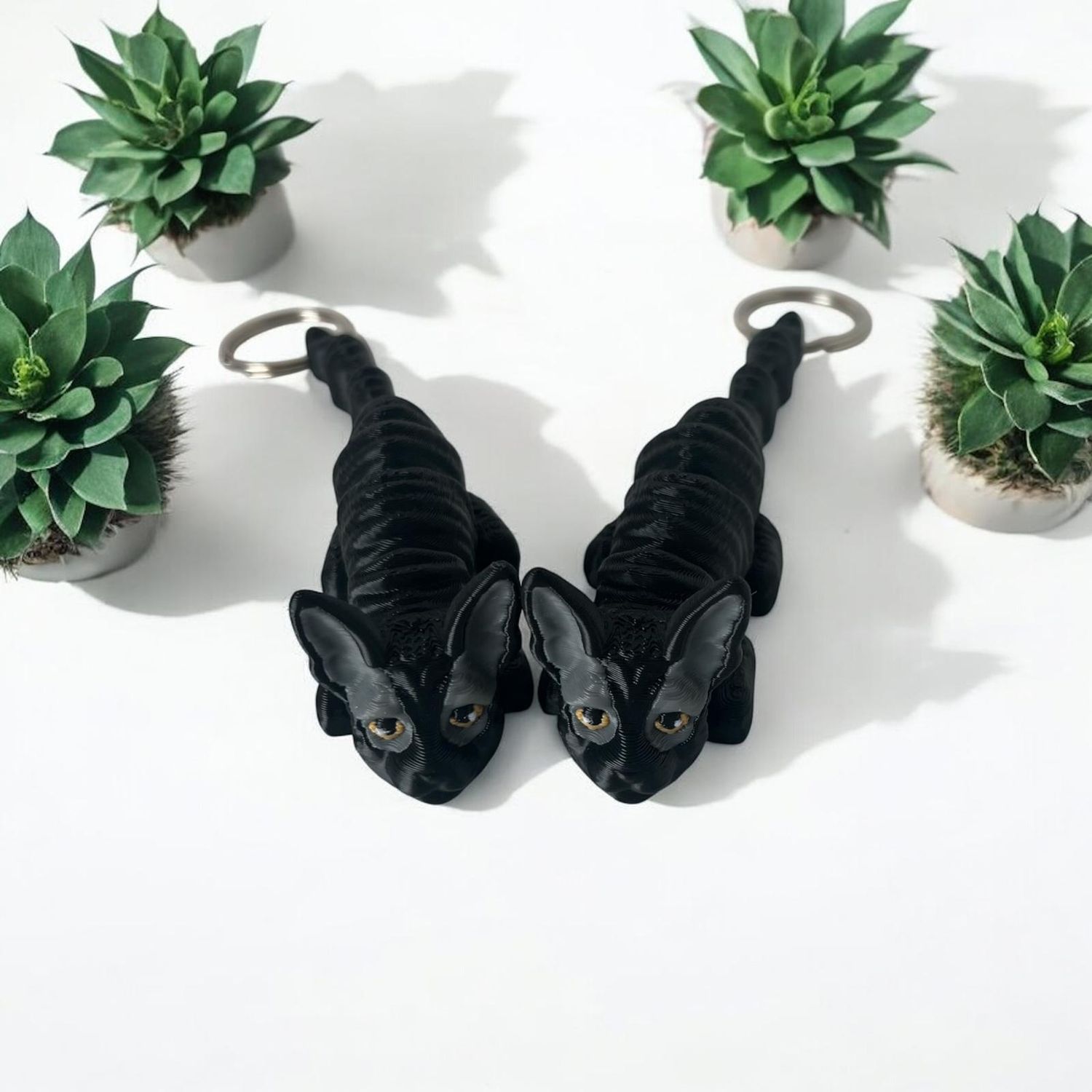 Cornish Rex