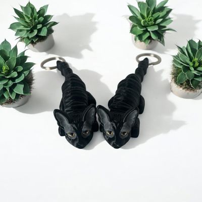 Cornish Rex