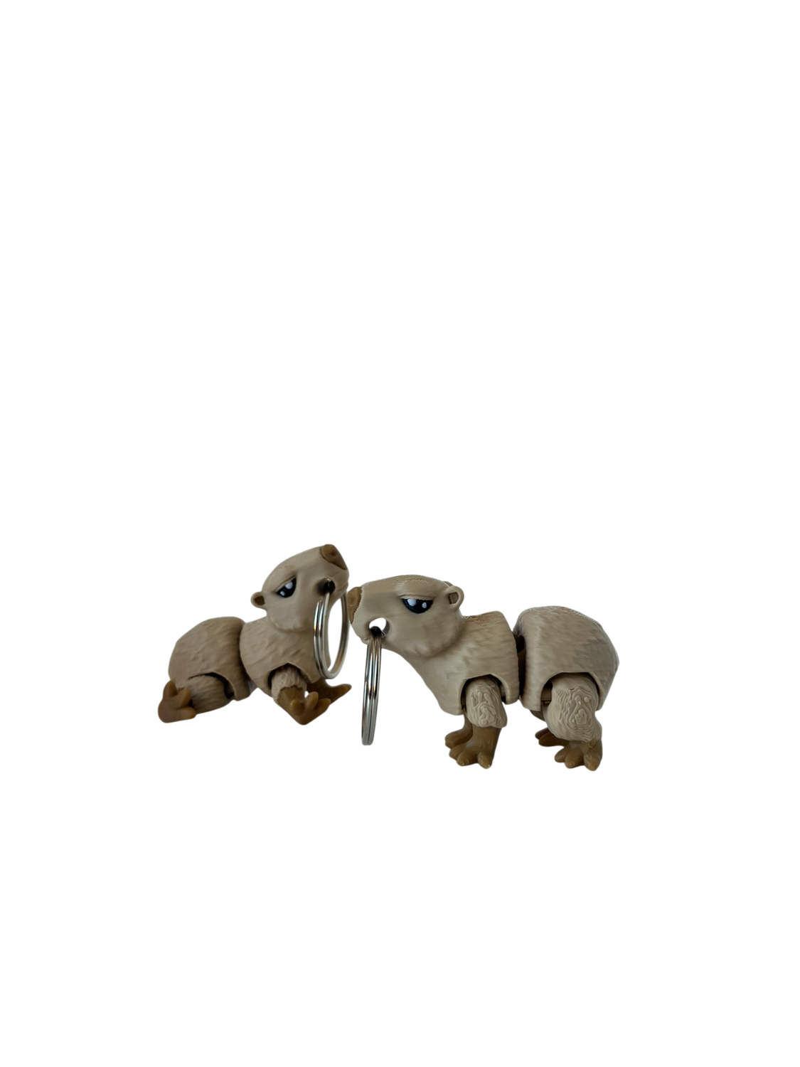 Kapibara