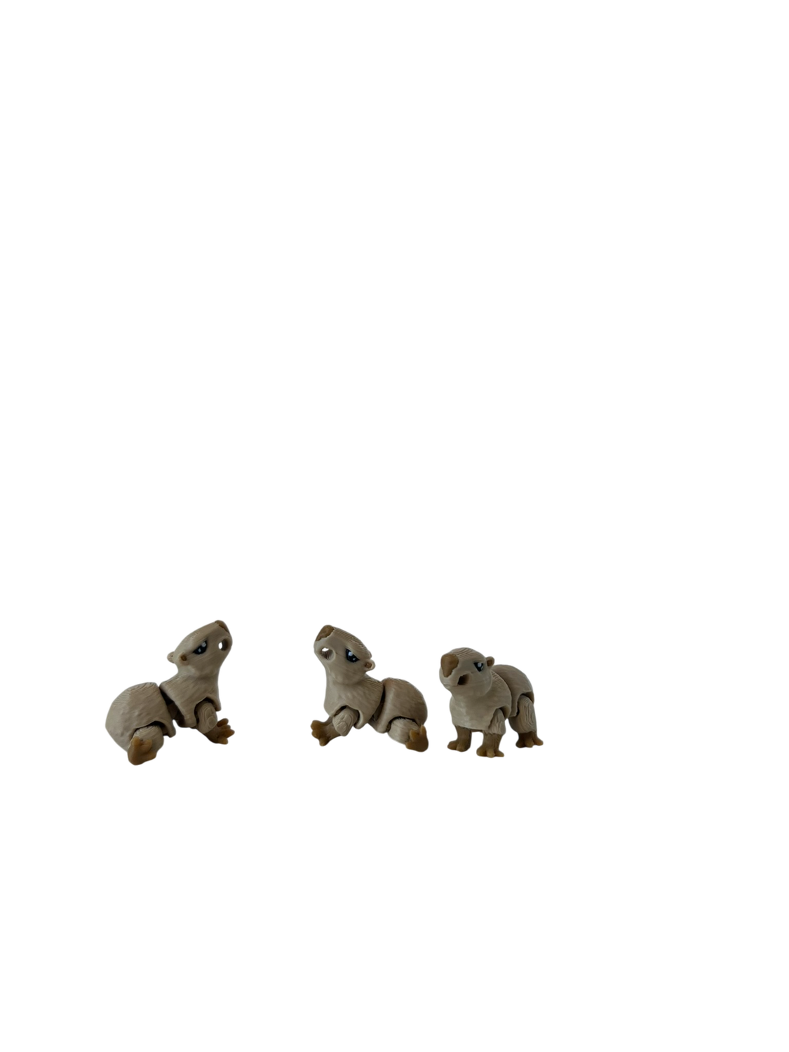 Kapibara