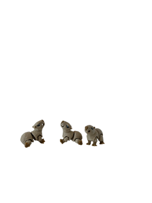 Kapibara
