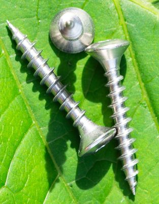 Schrauben und Mauerdübel