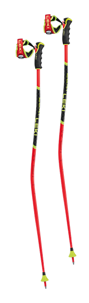 Leki WorldCup GS 3D Trigger