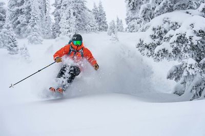 Free Skis