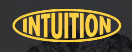 Intuition