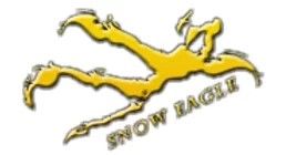 Snow Eagle