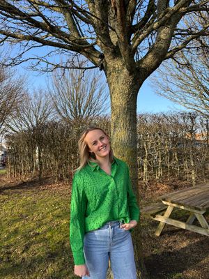 BLOES BRODERIE GROEN