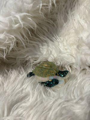 HAARSPELD SCHILDPAD GROEN
