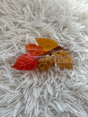 HAARSPELD HERFSTBLAD