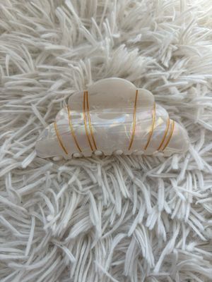 HAARSPELD WIT CROISSANT