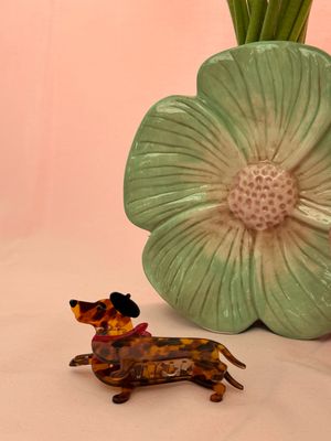 HAARSPELD TECKEL MET BARET