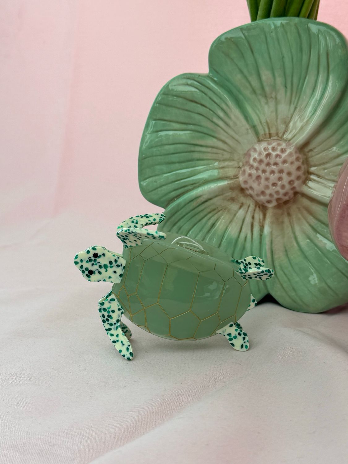 HAARSPELD GROEN SCHILDPAD