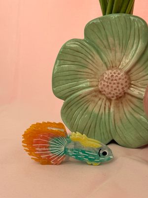 HAARSPELD VISJE MULTICOLOR