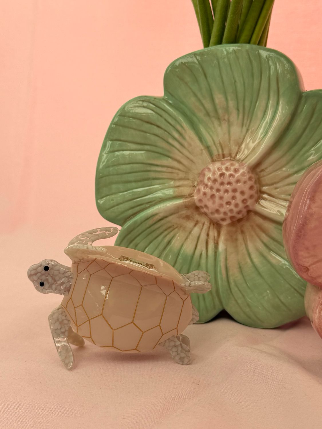 HAARSPELD LICHTROZE SCHILDPAD