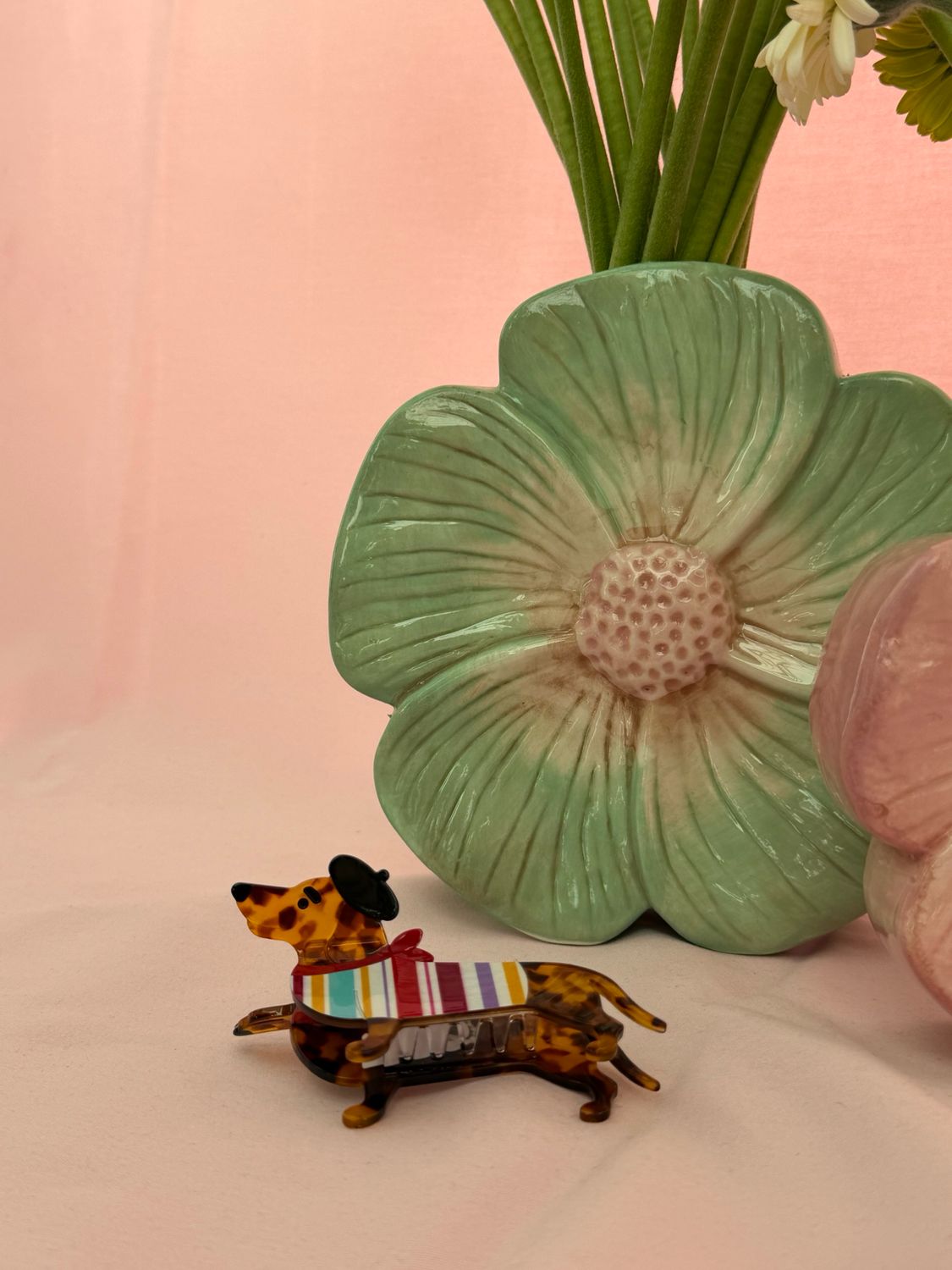 HAARSPELD TECKEL MET JASJE