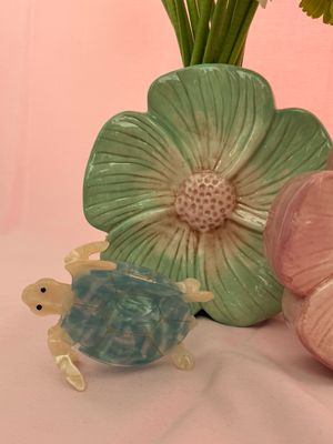 HAARSPELD BLAUW SCHILDPAD