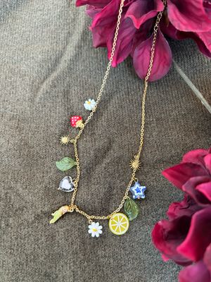 KETTING MET VISJE