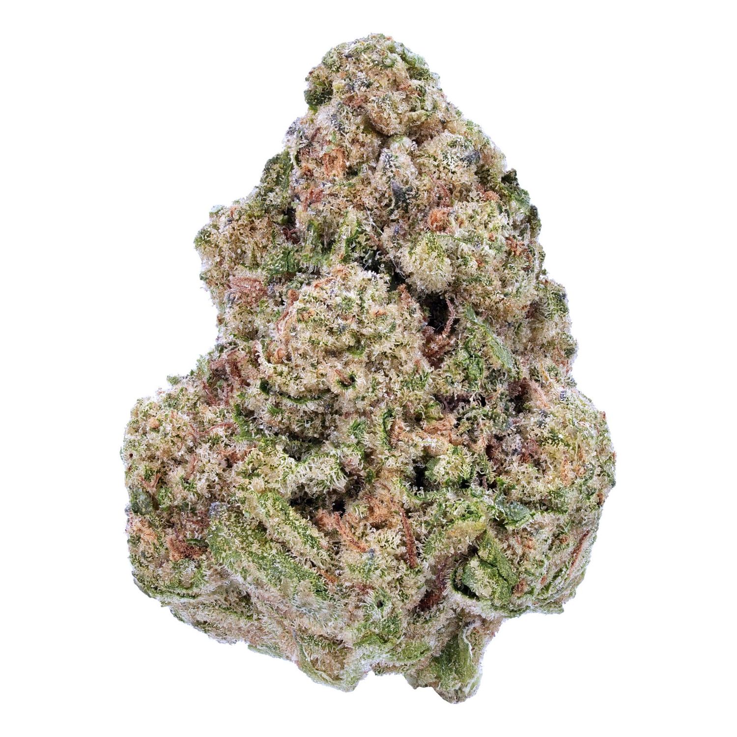 Raspberry Kush | THCa: 23.6%