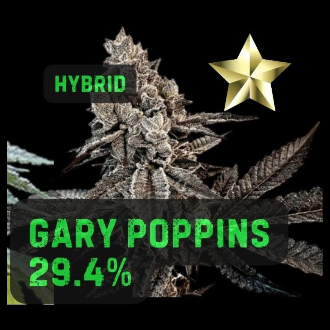 Gary Poppins | THCa: 29.9%, Weight: 1/8 oz.