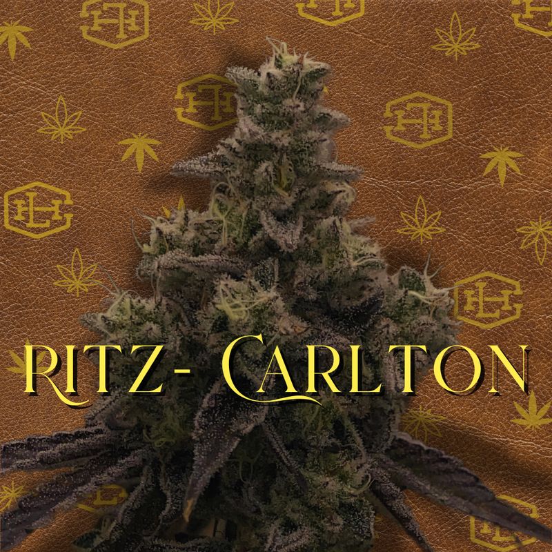 Ritz Carlton | HYBRID | THCa: 32.8%