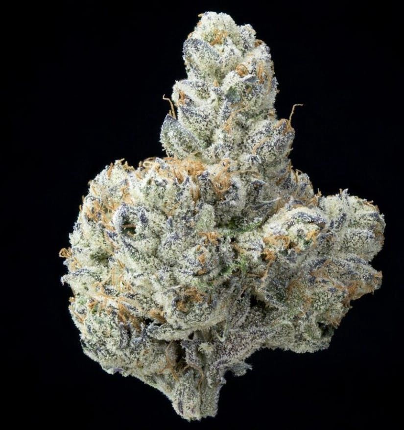 Zote | Indica | THCa: 30.4%, Weight: Gram