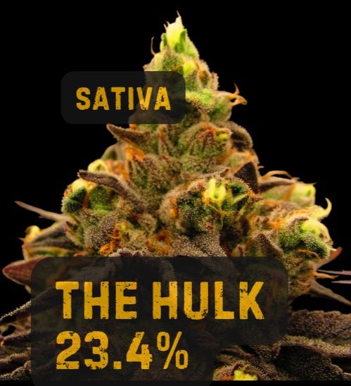 Hulk | Sativa | THCa: 23.3%, Weight: 1/8 oz.