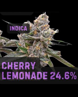 Cherry Lemonade | Indica | THCa: 24.6%