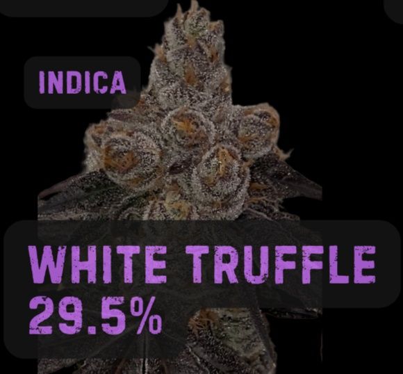 White Truffle | Indica | THCa: 29.5%, Weight: Gram