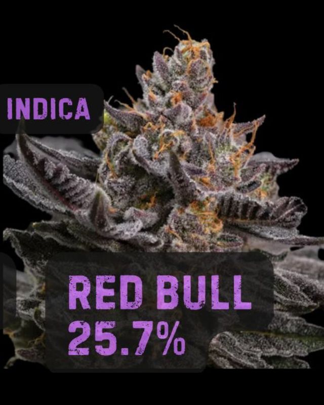 Red Bull | Indica | THCa: 25.7%