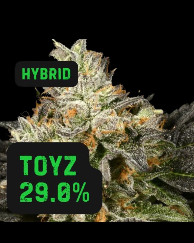 Toyz | THCa: 29.0% - HYBRID