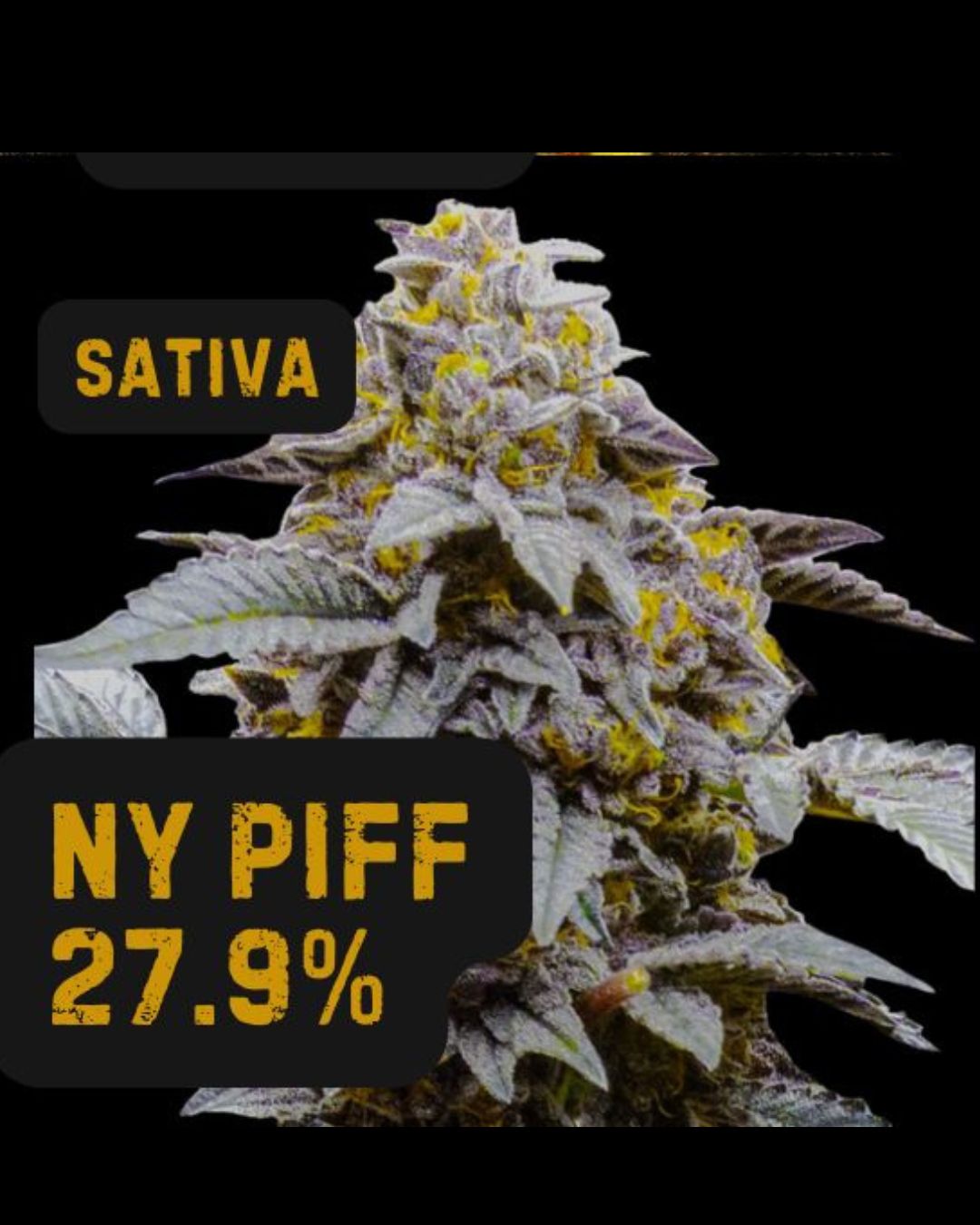 NY Piff | THCa: 27.9%, Weight: 1/8 oz.