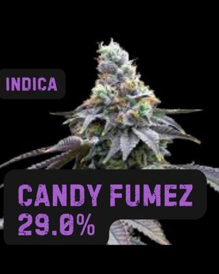 Candy Fumez | THCa: 29.0%
