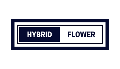 Hybrid